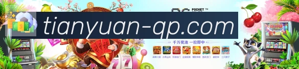 互动解说服务